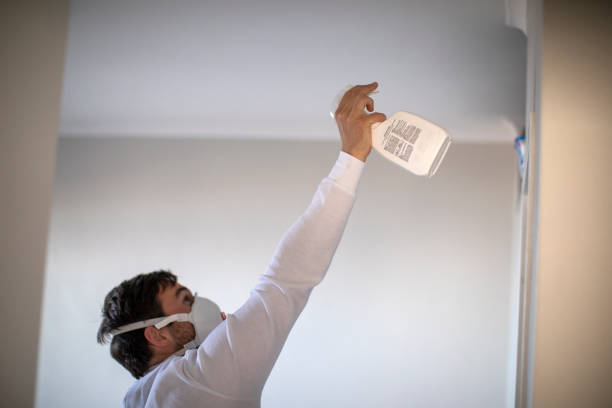 Best Emergency Mold Removal  in Scandia, MN